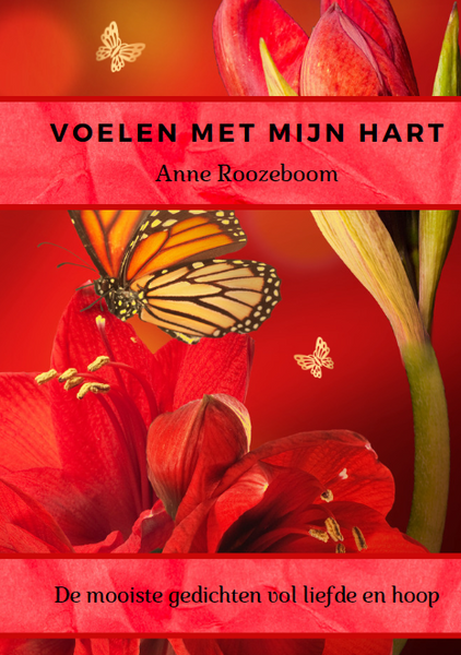 6. Voordeelactie: Voelen met mijn hart - Boek + CD